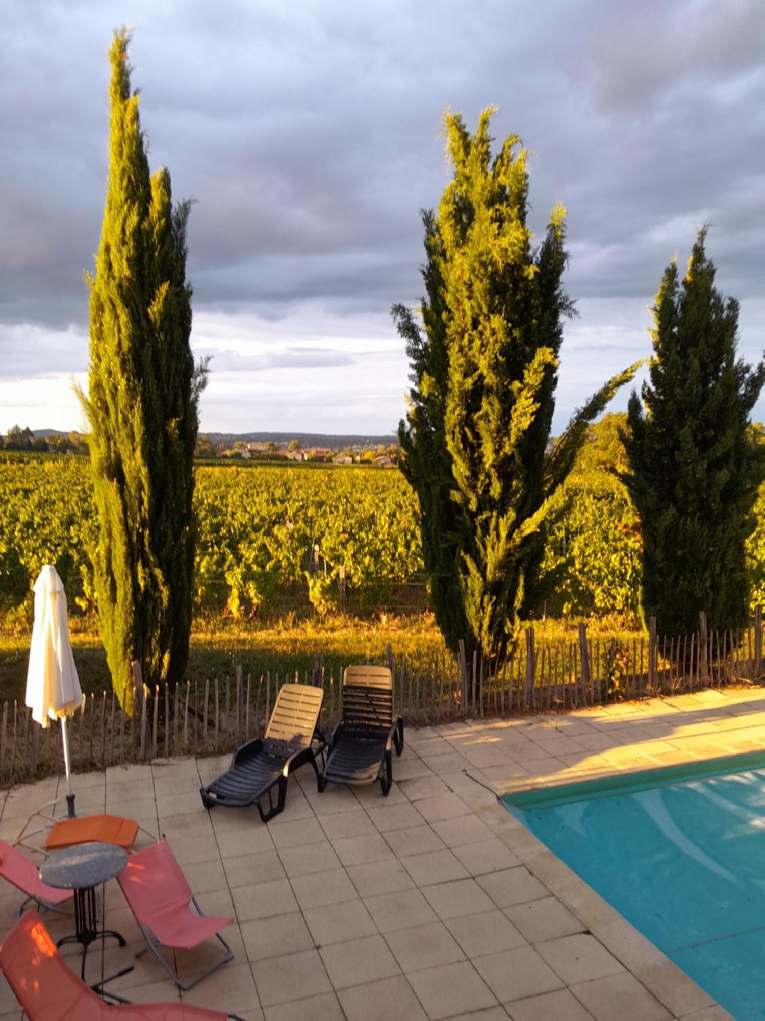 La Cote Des Blancs - Domaine Viticole & Maison D'Hotes Vinzelles Luaran gambar